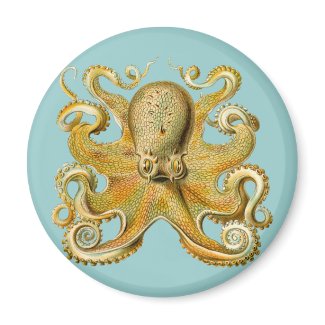 Ernst Haeckel's Octopus magnet