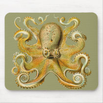 Ernst Haeckel's Octopus Mousepads