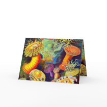Ernst Haeckel's Sea Anemones Greeting Card