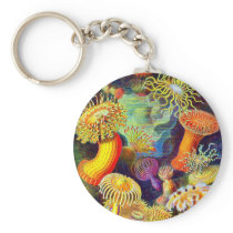 Ernst Haeckel's Sea Anemones Key Chains