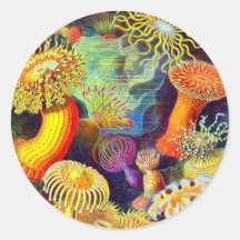 Ernst Haeckel's Sea Anemones Sticker