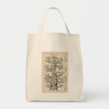 Ernst Haeckel's "tree of life" Bag