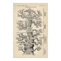Ernst Haeckel's "tree of life" posters