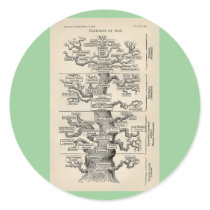 Ernst Haeckel's "tree of life" stickers