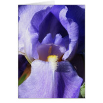Erotic cards by jstrength2003 Erotic cards