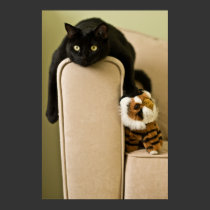 Ersatz Cats Poster posters by Llywellyn Ersatz Cats Poster posters
