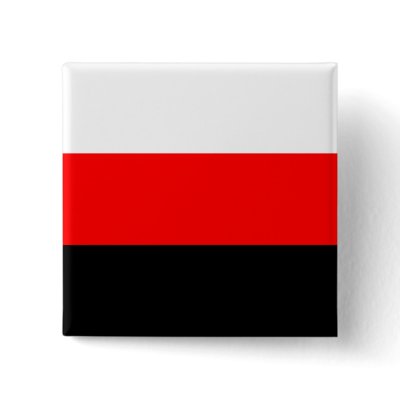 Erzya, Russia flag pin @ Zazzle