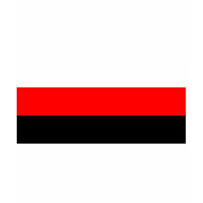 Erzya, Russia flag t shirts @ Zazzle