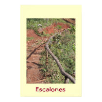 Escalones Staircase poster posters by scholz Escalones Staircase poster posters