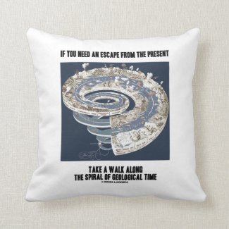 Escape From Present Walk Along Geological Time Pillow