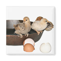 escaped breakfast magnets