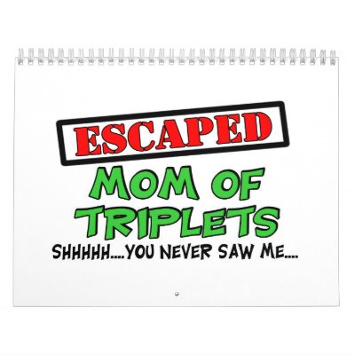 Escaped Mom Of TRIPLETS...shhhh...you never saw me Calendar by Multiplesmania