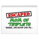Escaped Mom Of TRIPLETS...shhhh...you never saw me Calendar
