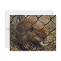 Escaping Beaver Custom Invites