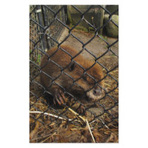 Escaping Beaver Customized Stationery