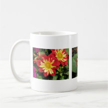 Escarlata de Goldalia de la dalia Taza