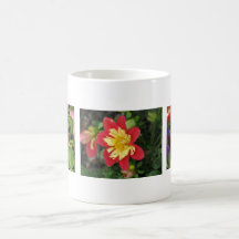 Escarlata de Goldalia de la dalia Taza