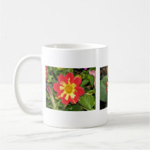 Escarlata de Goldalia de la dalia Tazas De Café