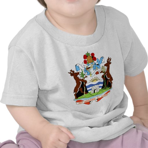 Escudo de armas de Antigua y de Barbuda Camiseta