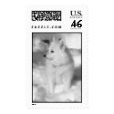 Eskie in the snow postage by cmaupin3 Eskie in the snow postage