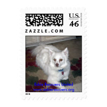 Eskie Rescuers United postage by cat7wmn Eskie Rescuers United postage