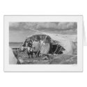 Eskimo Camp Nome, Alaska Photo 1916 cards