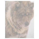 Eskimo Sled Dog Personalized Letterhead