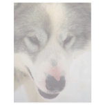 Eskimo Sled Dog Letterhead
