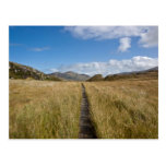 Esknamucky Glen Post Cards