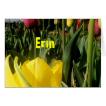 Esme cards by lollypopgirrrl Esme cards