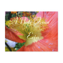 Esme postcards by lollypopgirrrl Esme postcards