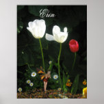 Esme posters