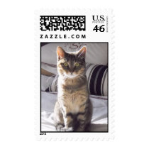 Esme Stamp