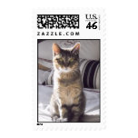 Esme Stamp