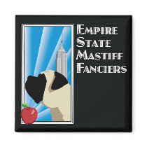 ESMF Square Magnet magnets