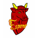Espana Toro Spanish Bull for Spain lovers t-shirts by Funkart Espana Toro Spanish Bull for Spain lovers t-shirts