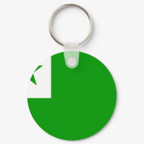 Esperanto Flag keychains by coolcountry Esperanto Flag keychains