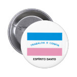 Espírito Santo, Brazil Flag Pin