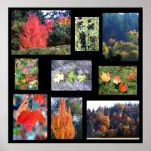 Esplendores del otoño posters