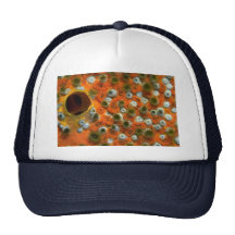 Esponja anaranjada con una colonia del zooanthid a gorras