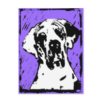 Esra Harlekin Deutsche Dogge postkarten
