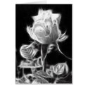 Essence of a Rose 1 cards by LivingNature Essence of a Rose 1 cards
