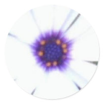 Essence of  flower Sticker