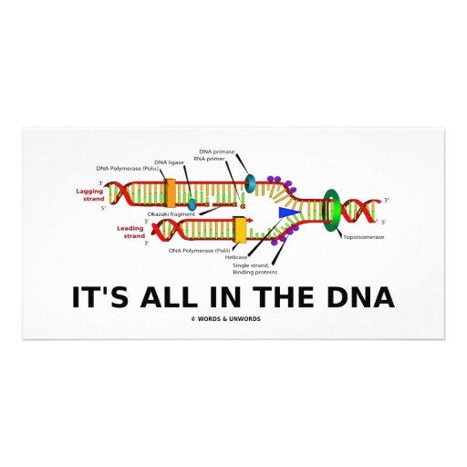 Está todo en La DNA Tarjetas Fotográficas Personalizadas