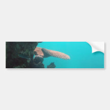 Estante coralino pegatina de parachoque