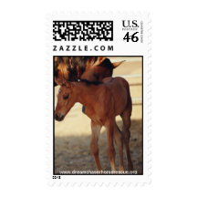 Estelle & Eclipse Postage