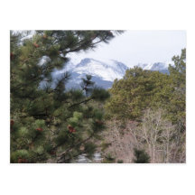 Estes Park, Colorado Postcard
