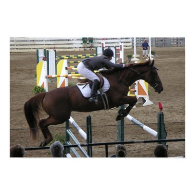 Estes Park Series (6) Poster by jumpergirl311