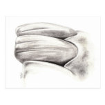 Esthetic Dentistry Post Card postcards