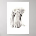 Esthetic Dentistry Poster posters